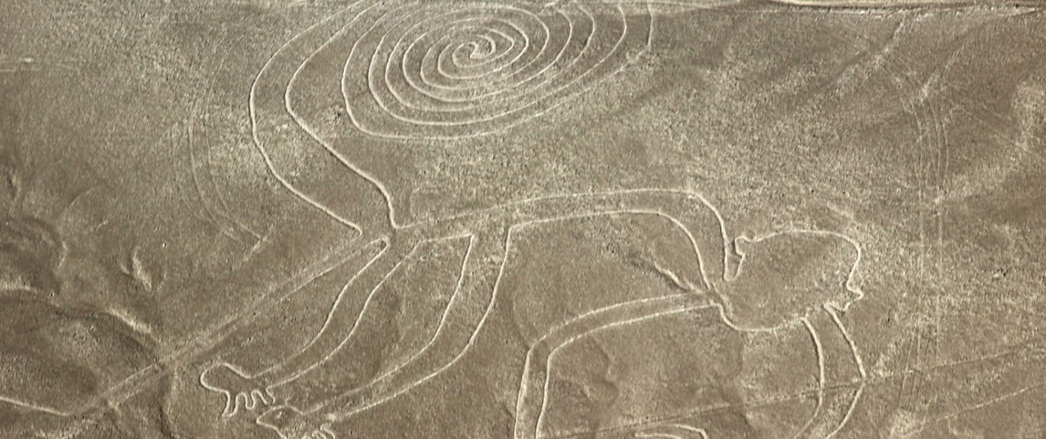 Mono Nazca