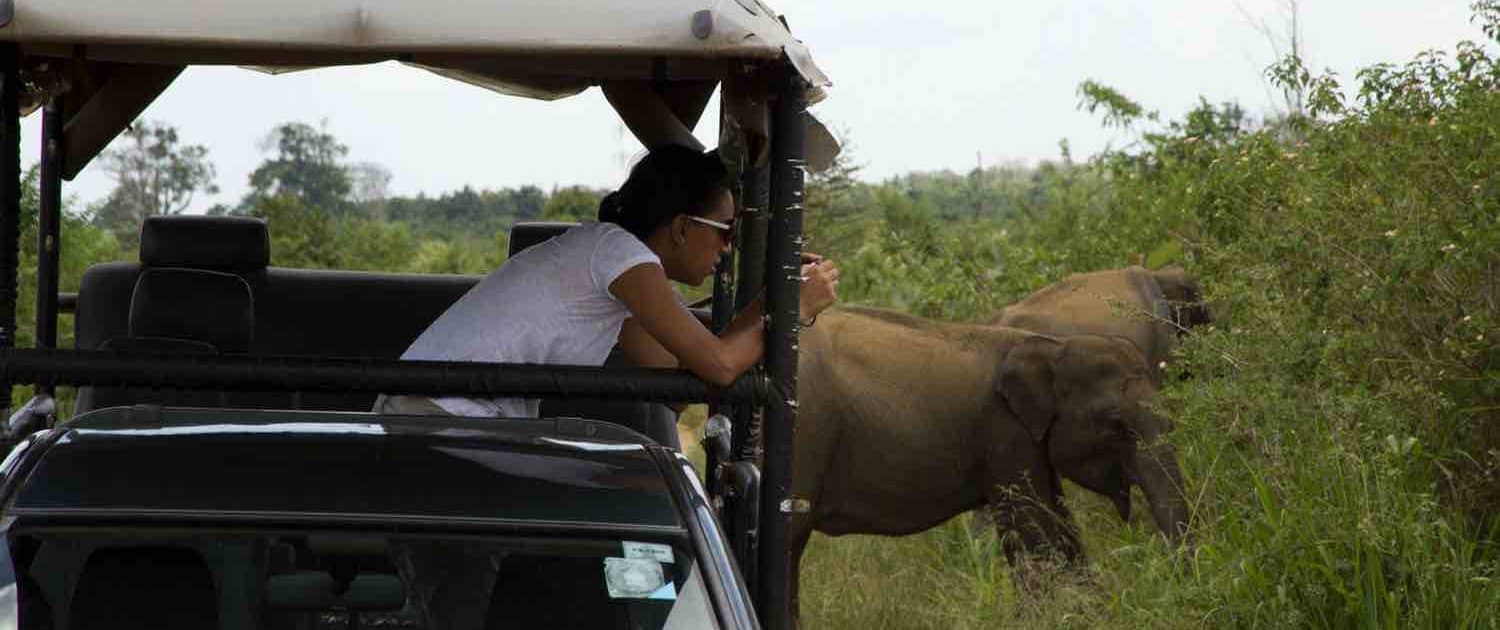 Sri Lanka safari