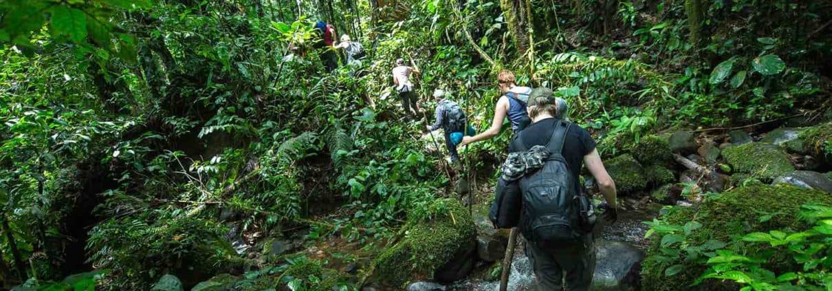 Vandring i Bigai i regnskoven