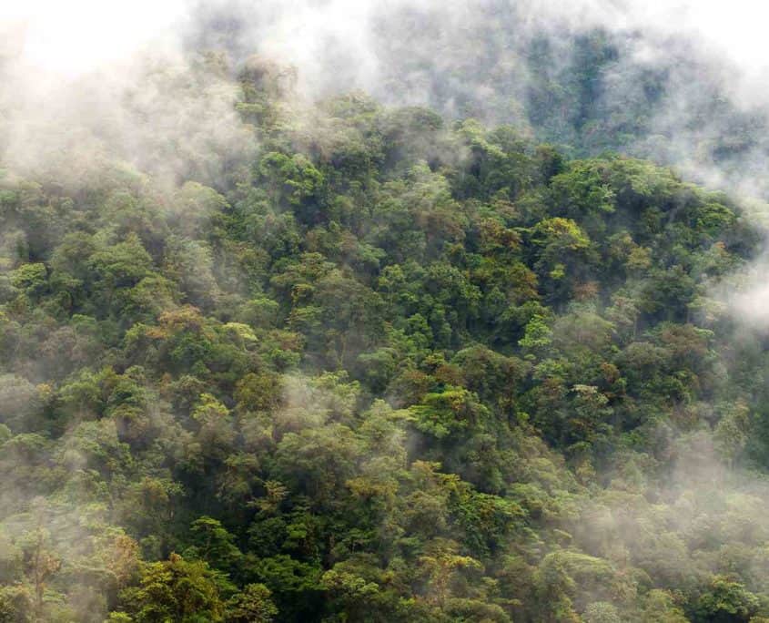 Ecuador - naturrejser med regnskov og