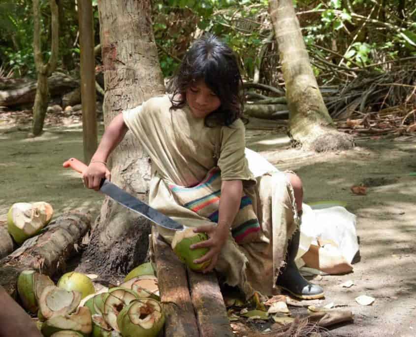 Kogui-indianer forbereder frugt