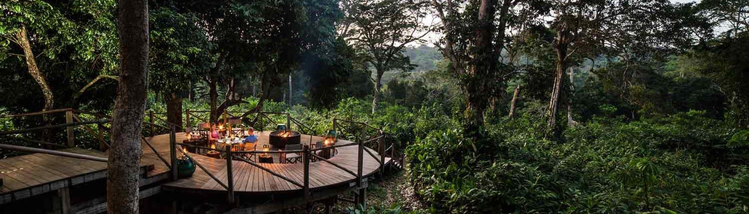 Gaga camp I Congos jungle