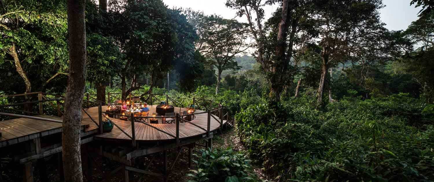 Gaga camp I Congos jungle