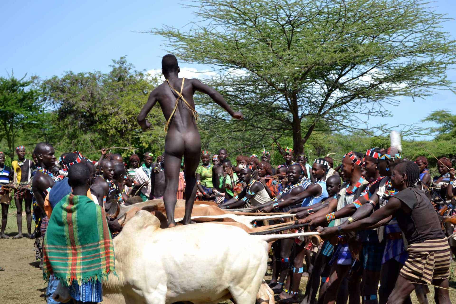 Ritual hos hamerfolket i Etiopien