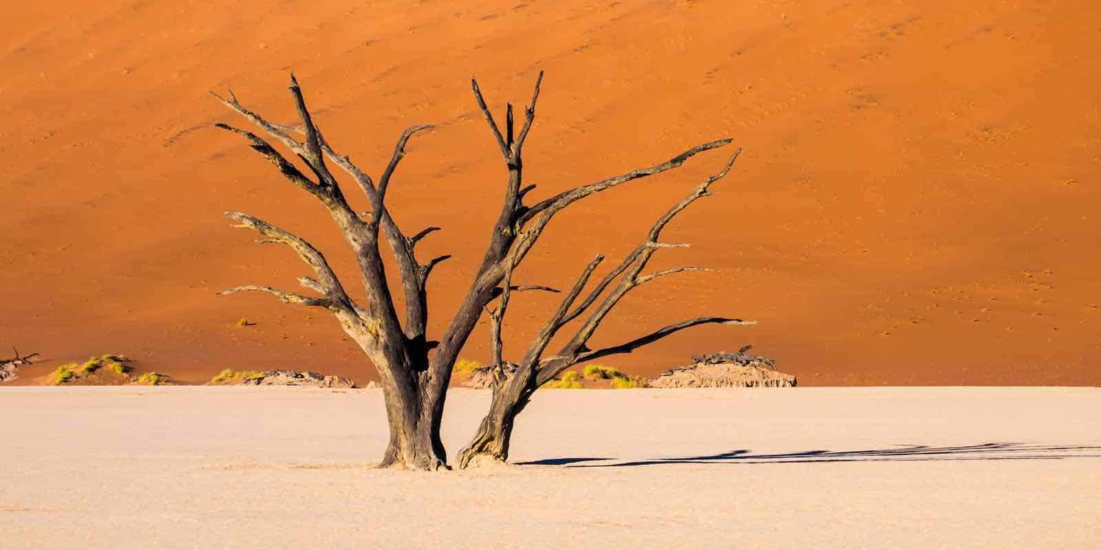 Namibørkenen
