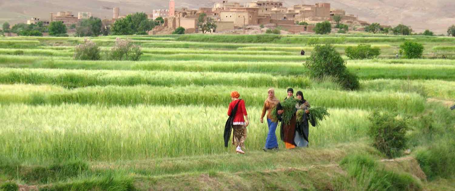 Natur og arbejde i Marokko Alemdoun landsby