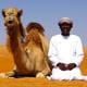 Kamel og lokal guide i ørken