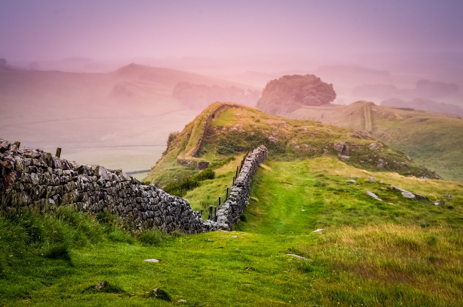 Hadrian's Wall på kulturrejse til England