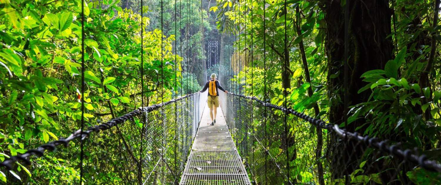 hanging bridges costa rica - 1600x800px-forside