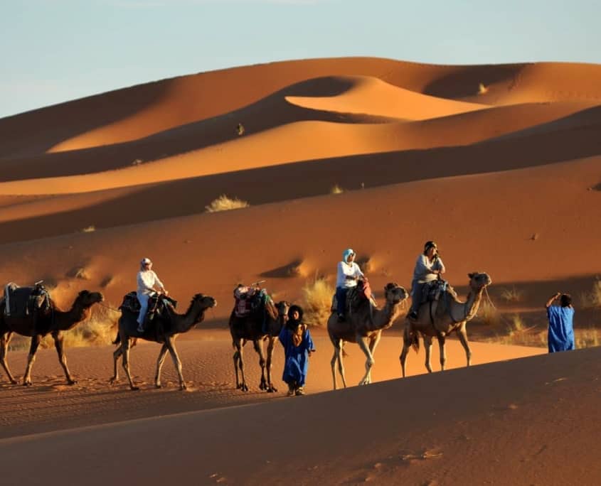 kamelsafari I Thar ørken