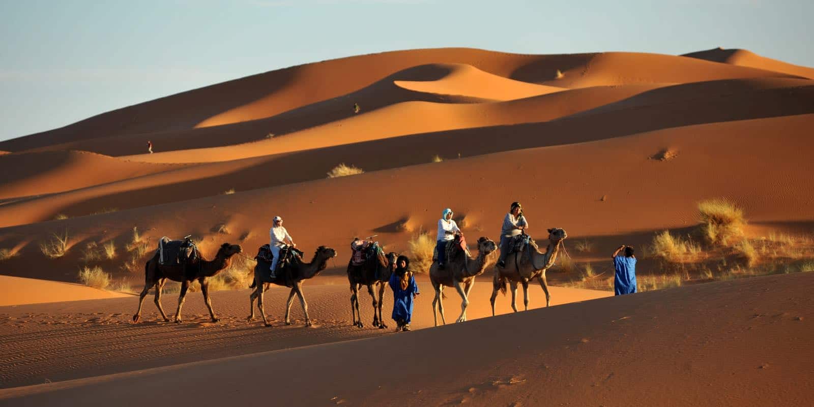 kamelsafari I Thar ørken