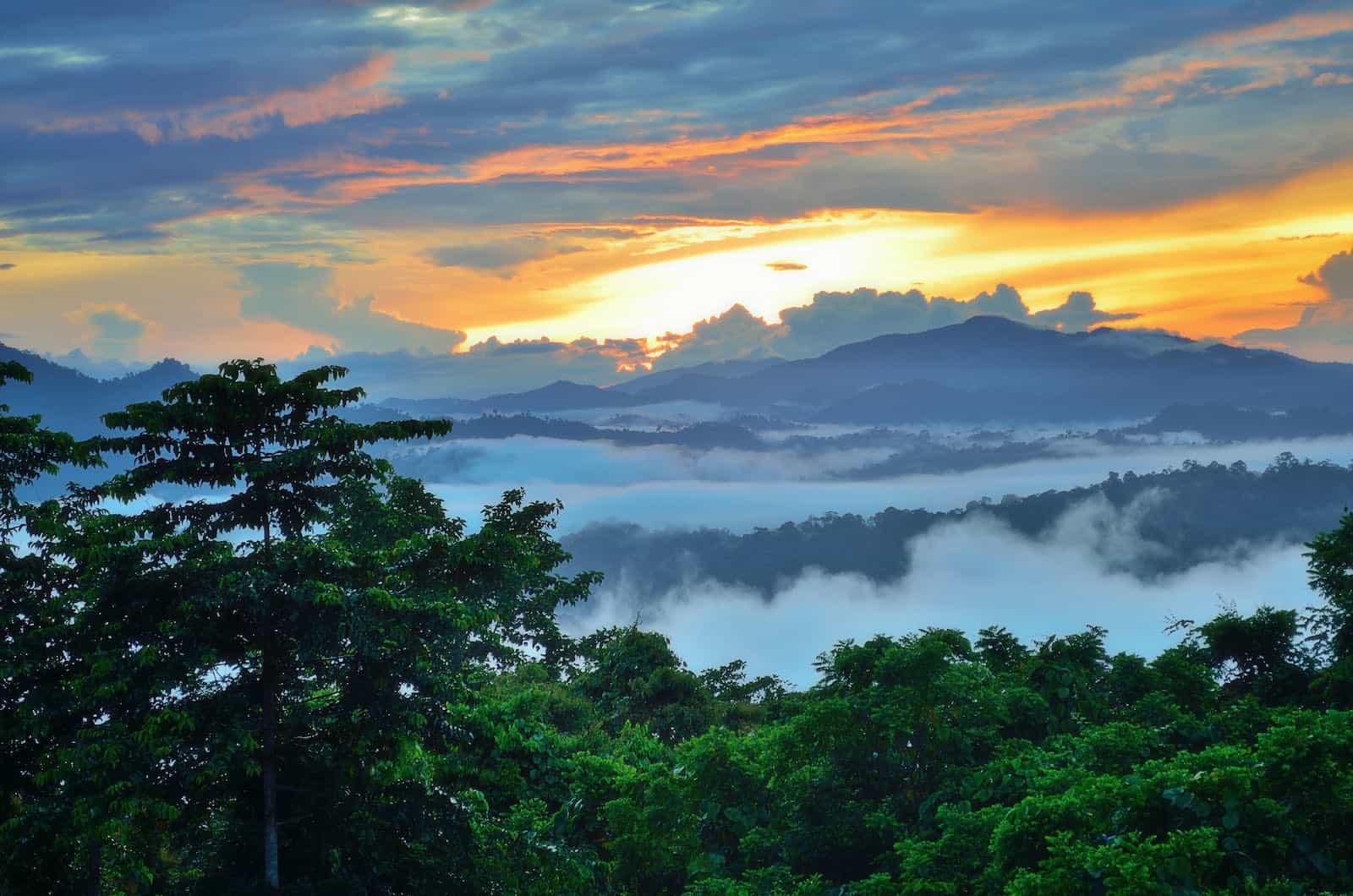 danum valley på Borneo