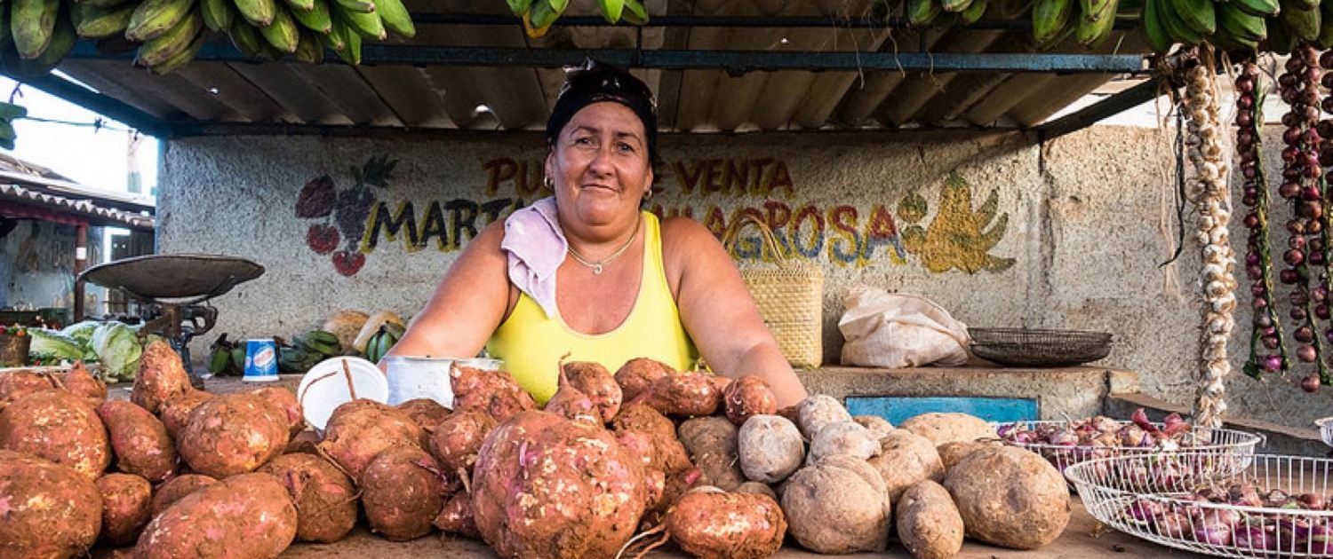 Markens frugter til salg i Cuba