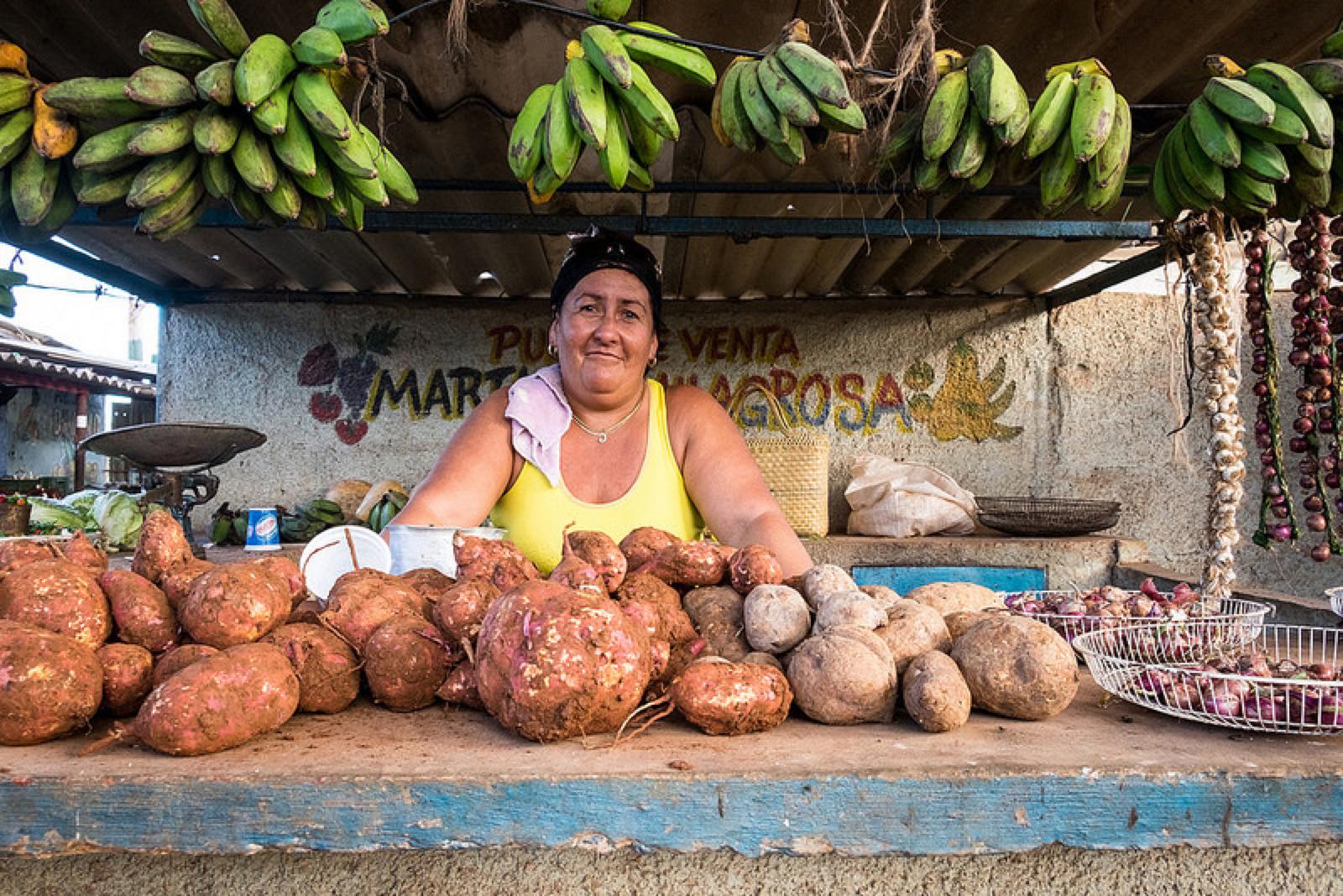 Markens frugter til salg i Cuba