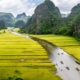Rejser til Vietnam