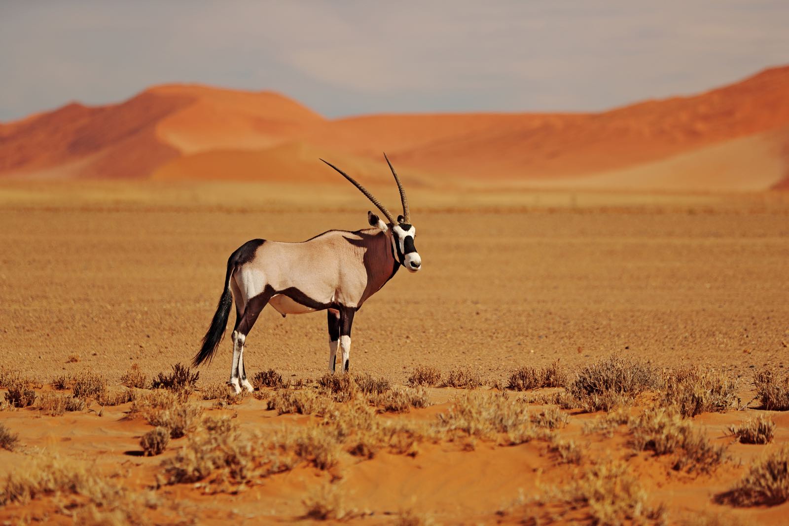 Namibia – marts 2026