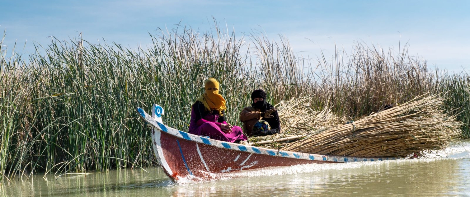 Marsk-arabere på rejse til Irak