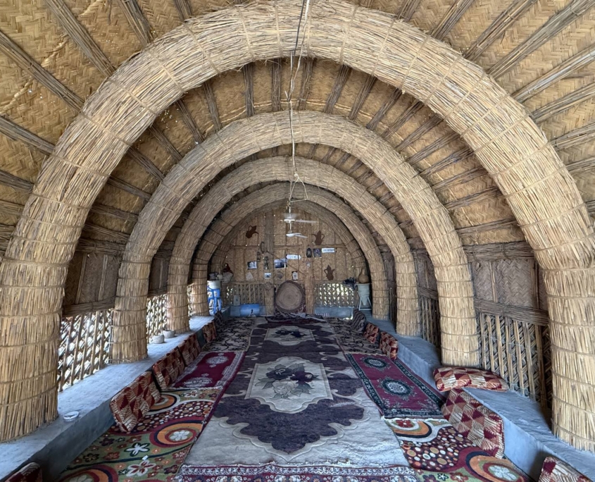 De mesopotamiske sumpe på rejse til Irak