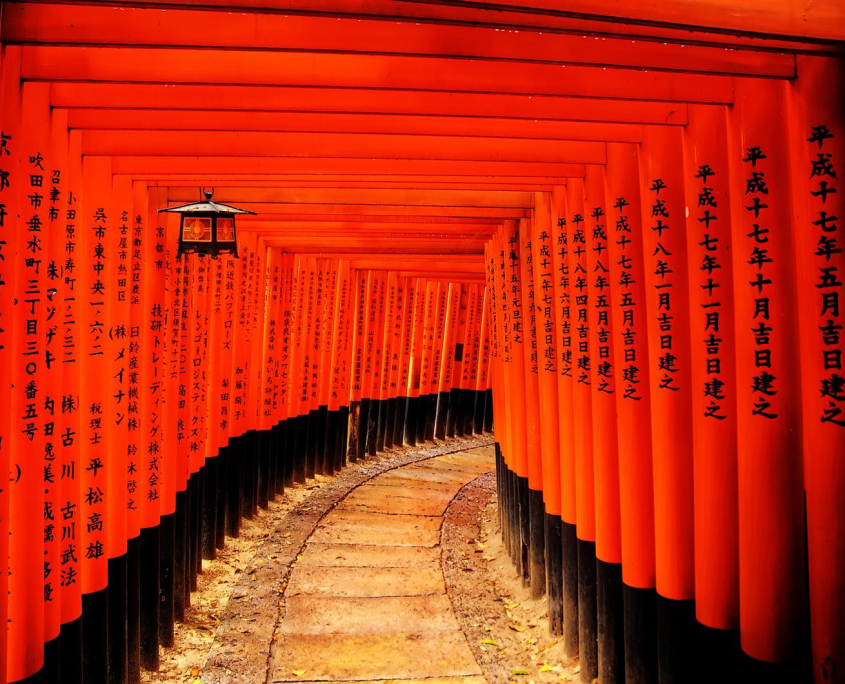 Kyoto - Torii Gates - på rejse til Japan