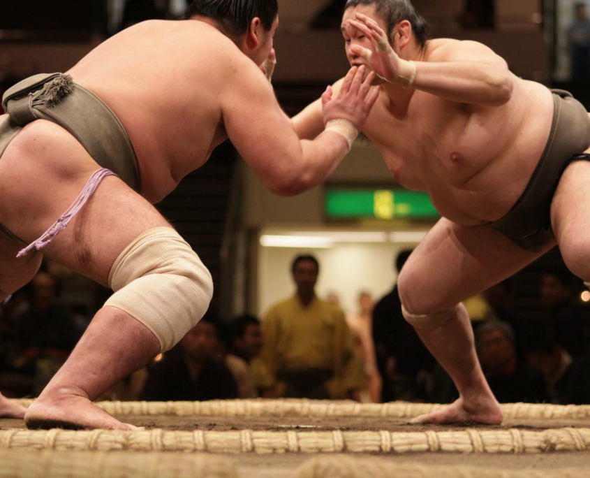 Sumo-demonstration på rejse til Japan