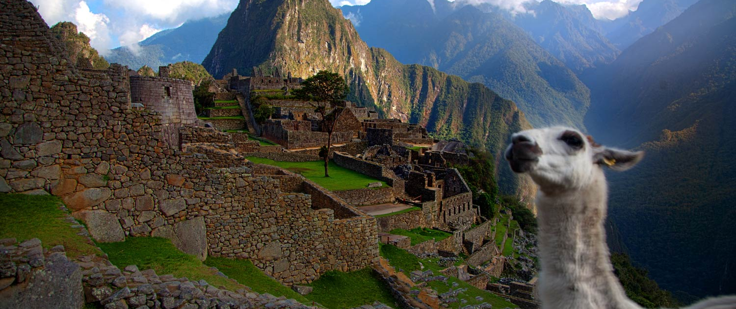 Machu Picchu med en lama på rejser til Peru